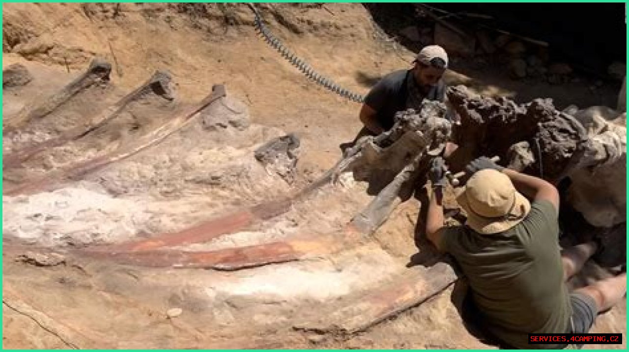 Digging Deep Into The Abby Berner Leaks: Uncovering Secrets And Consequences